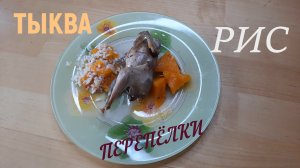 ТЫКВА ПЕРЕПЕЛКИ РИС ДУХОВКА