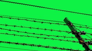 8 ФУТАЖЕЙ колючая проволока