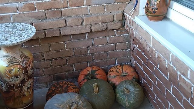 Осенние зарисовки.Приморск.Как мы живём.Цены и прочее смотреть онлайн