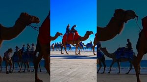 Camel Ride at Cable Beach Broome Kimberley Australia  #shorts