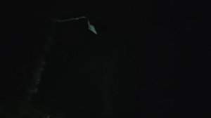 ЧТО СНЯЛА СКРЫТАЯ КАМЕРА В ЛЕСУ ? НЕ ХОДИТЕ НОЧЬЮ ПО ЛЕСАМ !!