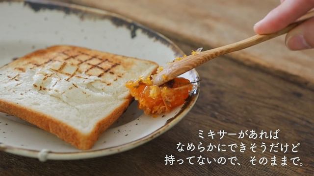 【暮らしのvlog】新しい台所道具を迎える|癒しの酵素シロップ完成|春をたのしむ|リフレッシュする季節のはじまり|暮らしの道具|かもめ食堂