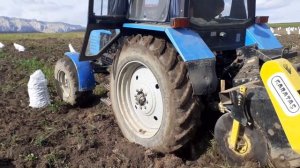 Собираем картошки с огорода.Выкопаем картошку трактором Беларусь МТЗ 89.Сила Техники