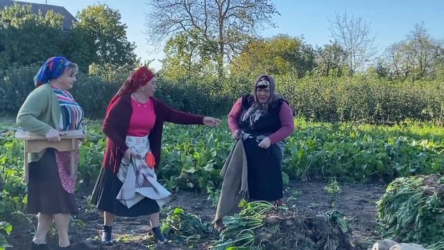 "Зародили бурячки у куми на городі" смотреть онлайн