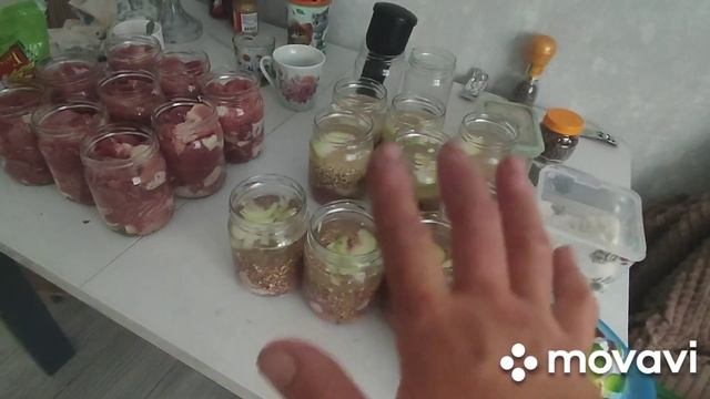 ТУШЕНКА ИЗ СВИНИНЫ #рыбные консервы#заготовка #вкусно # смотреть онлайн