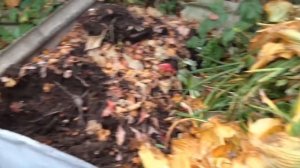 Огород по-новому на маленьком участке