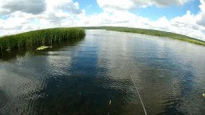 Обзор Shimano Bass One XT 1610M-2