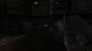 Skyrim - The talking dead