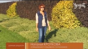 МОЖЖЕВЕЛЬНИК. Все секреты выращивания от А до Я