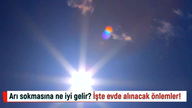 Arı sokmasına ne iyi gelir? Arı sokması şişliği nasıl iner? Arı sokmasında ne yapılır? смотреть онлайн