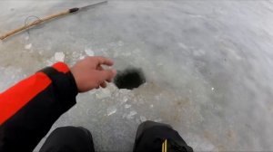 СЕРДЦЕ ЗАМИРАЕТ КОГДА ОНИ ПОДЫМАЮТ КИВОК! Ловля карася зимой. Зимняя рыбалка 2023