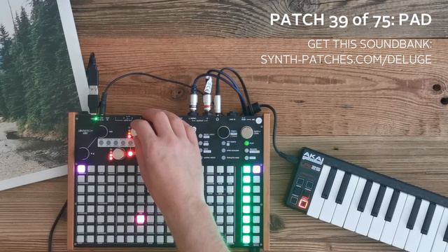 Boards of Deluge #6 - 75 New Patches with Samples and Wavetables смотреть онлайн