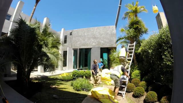 Landscaping. INSTANT OASIS. Palm tree craning. TIME LAPSE смотреть онлайн