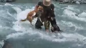 3 дня в туманной долине, постройка убежища на дереве, приготовление пищи в дикой природе