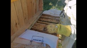 Что делать если в лежаке все рамки залиты но не запечатанные