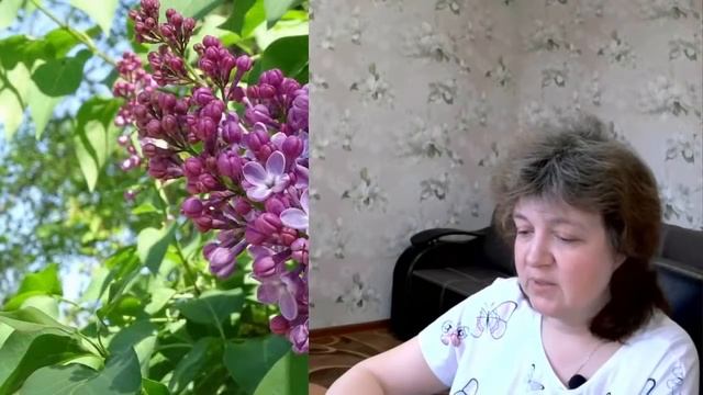 Стрим 8 мая: СМИ будут взаимодействовать с Росгосцирком и БМГЦ, Фёдоров нашёл себе нового ответчика смотреть онлайн