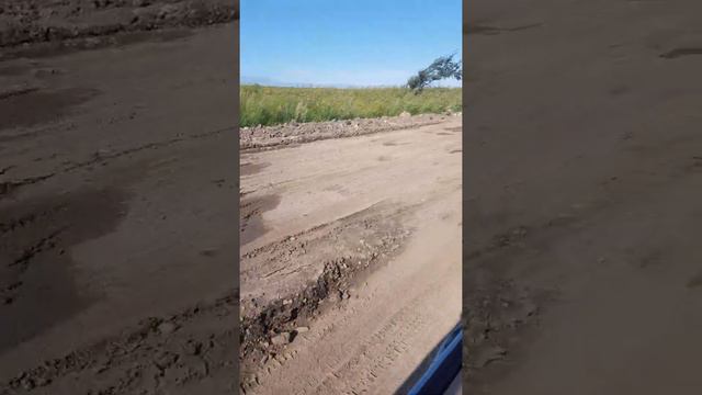 Трасса Галенки- Новогеоргеевка смотреть онлайн