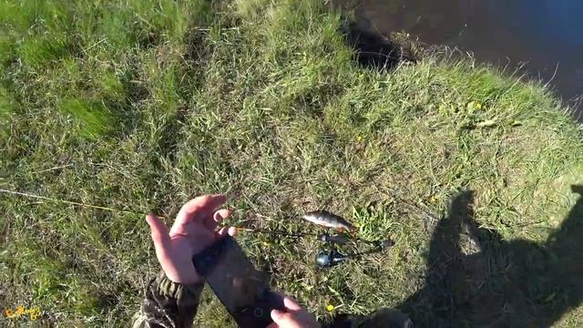 Вот эта рыбалка. Весенний отрыв по окуню. Рыбалка в мае на спиннинг смотреть онлайн