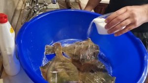 КАМБАЛА-СОЛИМ СУШИМ ЖАРИМ МОРОЗИМ