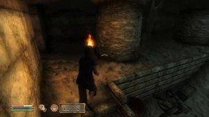 Oblivion Mod - Swearing Rats