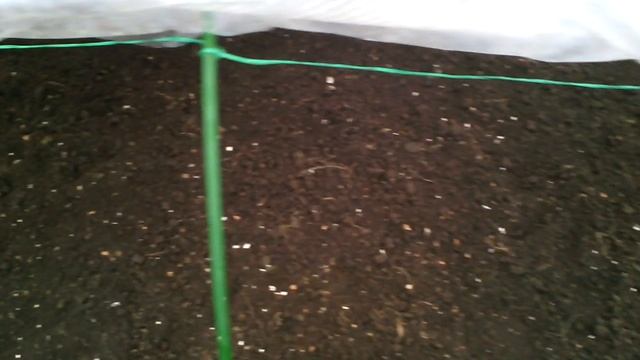 Первые посадки в теплице из поликарбоната. смотреть онлайн