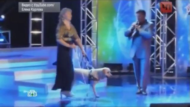 У слепой певицы украли собаку поводыря смотреть онлайн