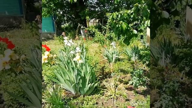 С праздником Ураза - байрам! смотреть онлайн