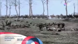 Брест-Литовск. Мир и новая война  ...ЛЕОНИД МЛЕЧИН..