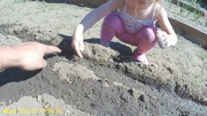 Влог. Картошка рассадой, запустил станок.