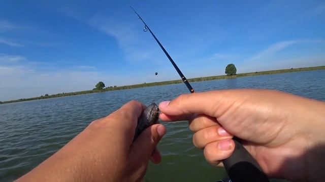 Окунь + КРУПНЫЙ КАРАСЬ на мормышку / Мормышинг / Fish Season Fario NT Morm.S 0.5-2 гр смотреть онлайн