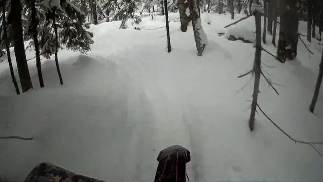 Первый выезд на сноубайках. 23.01.2022. смотреть онлайн