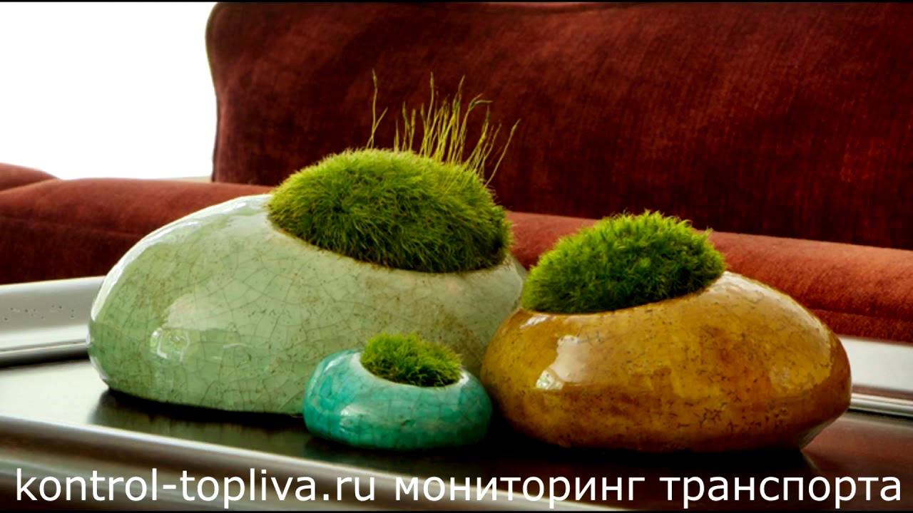 Какие домашние поделки можно сделать из мха