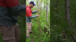 новая модель Южный Крест  Х