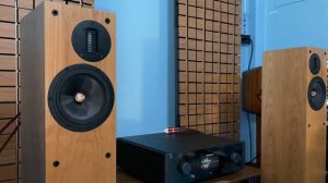 Proac D20R+Michi-X3+Rel S510+Zensati Zorro