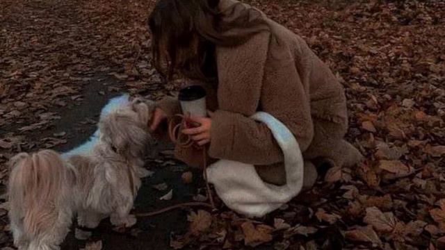 Гио Пика, MACAN - Прочерк смотреть онлайн