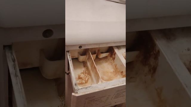 открыл отсек для порошка на стиральной машине машинке смотреть онлайн