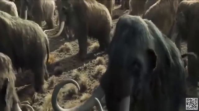 10000 bc Full movie free__New hollywood movie__New Action Movie__10000 bc hindi dubbed Movie смотреть онлайн