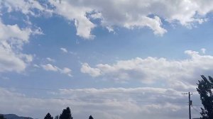 ⚡️Замыкание дерева на опору и ликвидация последствий?