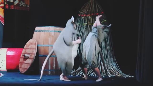 Спектакль «Все мыши любят сыр» в Новом драматическом театре смотреть онлайн