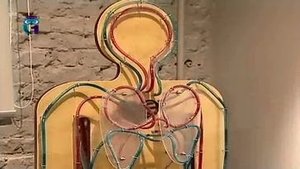 Музей человека "Живые системы"