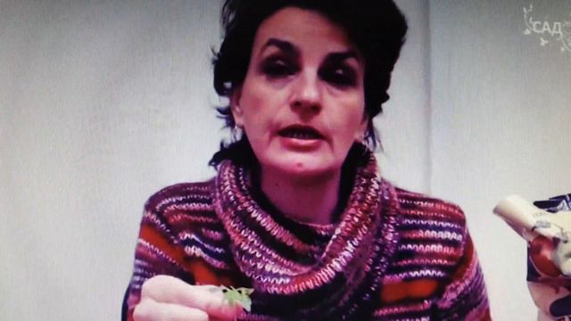 Рассада смотреть онлайн