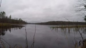 Озеро Большое Борково | Ленинградская область