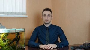 Выплата по ОСАГО без экспертизы (по соглашению со страховой)