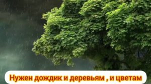 Караоке "Я иду по лужам"