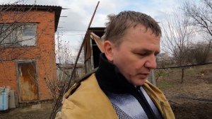 Как быстро и просто размножить малину дорогих сортов!!!
