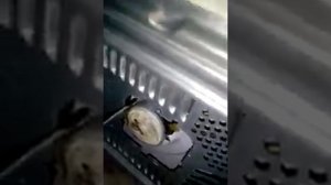 Меняем моторчик тарелки микроволновки своими руками