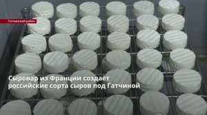 Сыровар из Франции создаёт российские сорта сыров под Гатчиной