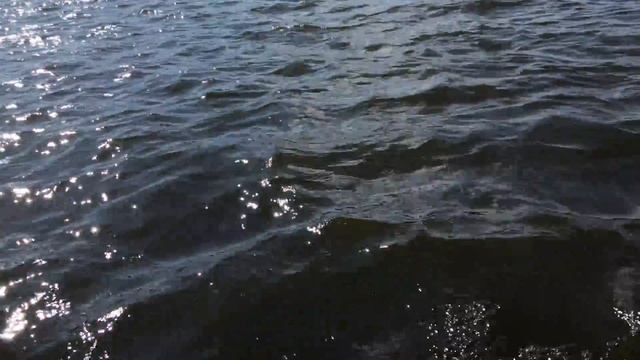 Запуск лодочного мотора Mercury 4 M смотреть онлайн