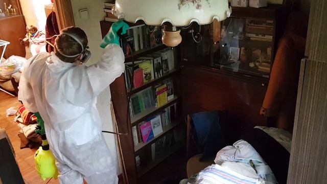 Уничтожение клопов горячим паром в домашних условиях смотреть онлайн