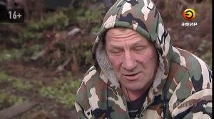Бык насмерть забодал своего хозяина